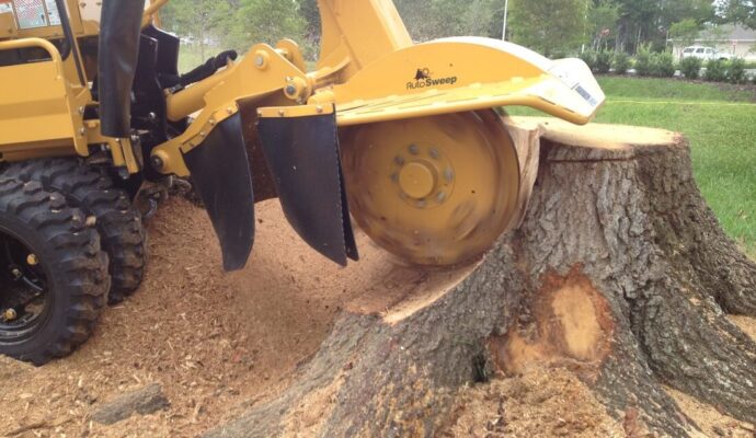 Stump Grinding & Removal-Palm Beach Gardens Tree Trimming and Tree Removal Services-We Offer Tree Trimming Services, Tree Removal, Tree Pruning, Tree Cutting, Residential and Commercial Tree Trimming Services, Storm Damage, Emergency Tree Removal, Land Clearing, Tree Companies, Tree Care Service, Stump Grinding, and we're the Best Tree Trimming Company Near You Guaranteed!