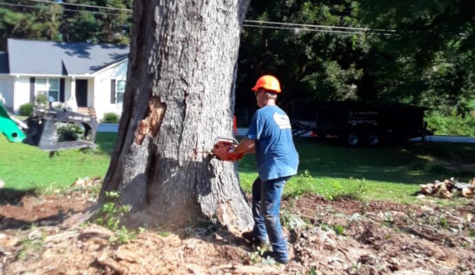 Tree Pruning & Tree Removal-Palm Beach Gardens Tree Trimming and Tree Removal Services-We Offer Tree Trimming Services, Tree Removal, Tree Pruning, Tree Cutting, Residential and Commercial Tree Trimming Services, Storm Damage, Emergency Tree Removal, Land Clearing, Tree Companies, Tree Care Service, Stump Grinding, and we're the Best Tree Trimming Company Near You Guaranteed!