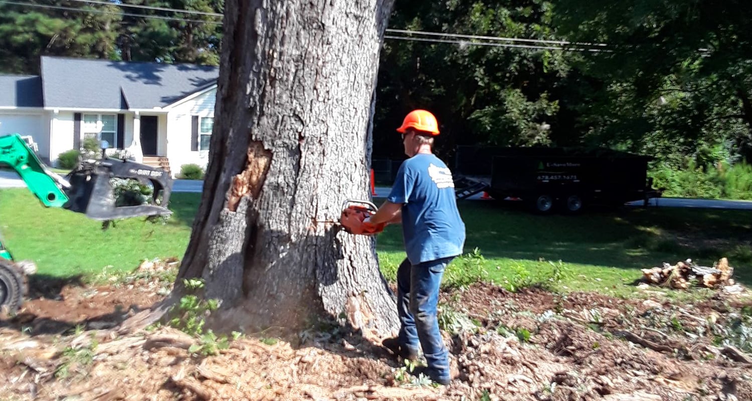 Tree Pruning & Tree Removal-Palm Beach Gardens Tree Trimming and Tree Removal Services-We Offer Tree Trimming Services, Tree Removal, Tree Pruning, Tree Cutting, Residential and Commercial Tree Trimming Services, Storm Damage, Emergency Tree Removal, Land Clearing, Tree Companies, Tree Care Service, Stump Grinding, and we're the Best Tree Trimming Company Near You Guaranteed!