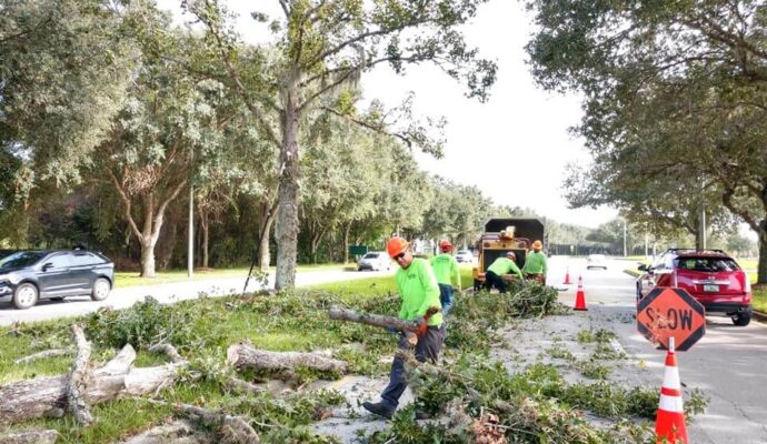 Commercial-Tree-Services-Affordable-Pro-Tree-Trimming-Removal-Team-of-Palm Beach Gardens
