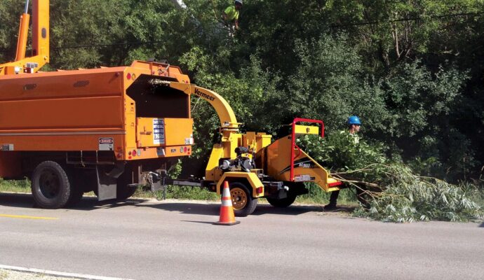 Commercial Tree Services Near Me-Pro Tree Trimming & Removal Team of Palm Beach Gardens