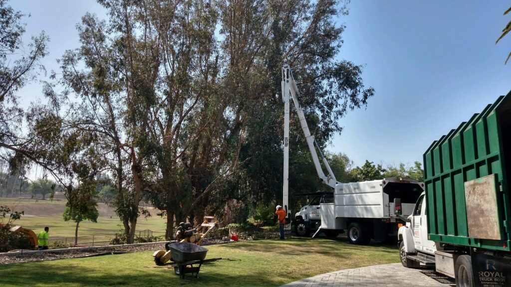 Commercial Tree Services Palm Beach Gardens-Pro Tree Trimming & Removal Team of Palm Beach Gardens