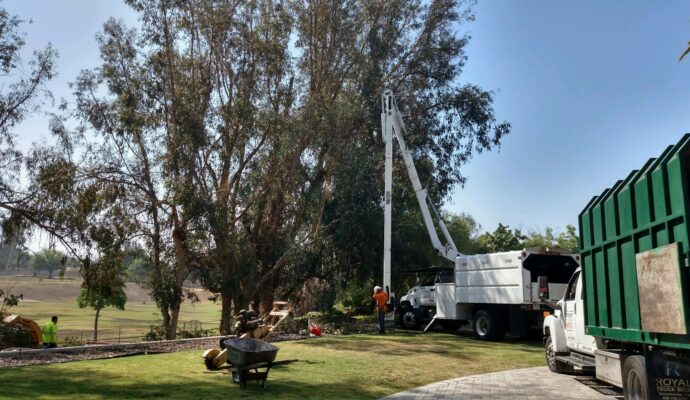 Commercial Tree Services Palm Beach Gardens-Pro Tree Trimming & Removal Team of Palm Beach Gardens