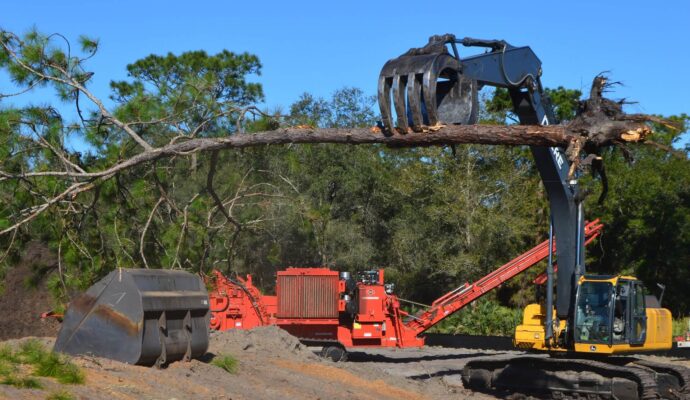 Palm Beach Gardens Land Clearing-Pro Tree Trimming & Removal Team of Palm Beach Gardens
