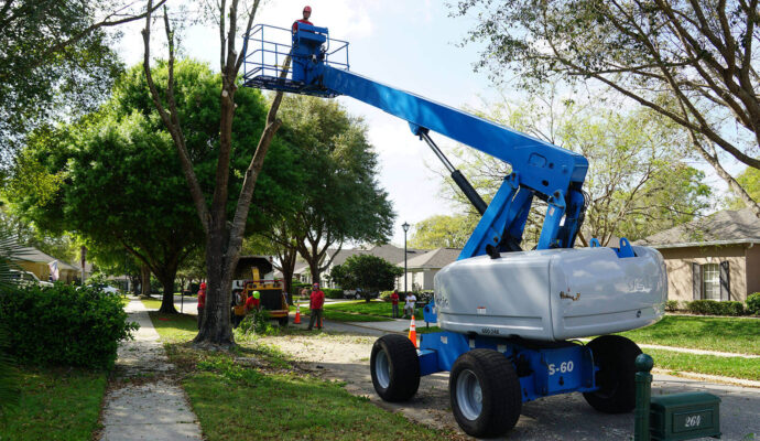Palm Beach Gardens Residential Tree Services-Pro Tree Trimming & Removal Team of Palm Beach Gardens
