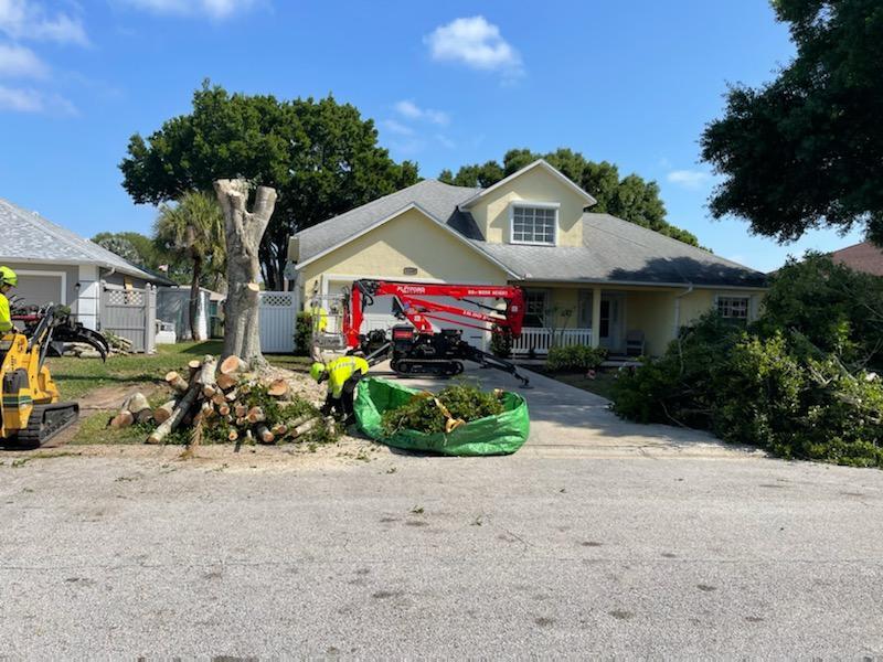 Residential Tree Services Palm Beach Gardens-Pro Tree Trimming & Removal Team of Palm Beach Gardens