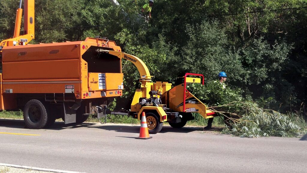 Commercial Tree Services-Pros-Pro Tree Trimming & Removal Team of Palm Beach Gardens