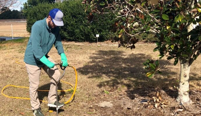 Deep Root Injection Experts-Pro Tree Trimming & Removal Team of Palm Beach Gardens