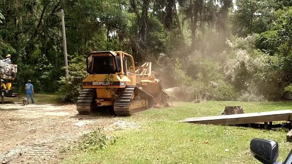 Land Clearing Experts-Pro Tree Trimming & Removal Team of Palm Beach Gardens