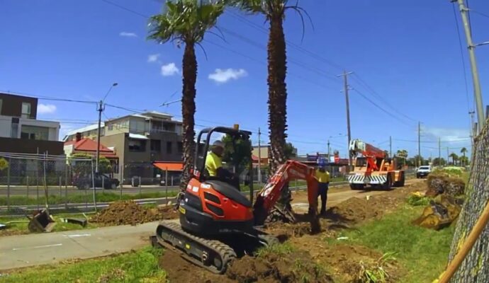 Palm Tree Removal-Pros-Pro Tree Trimming & Removal Team of Palm Beach Gardens