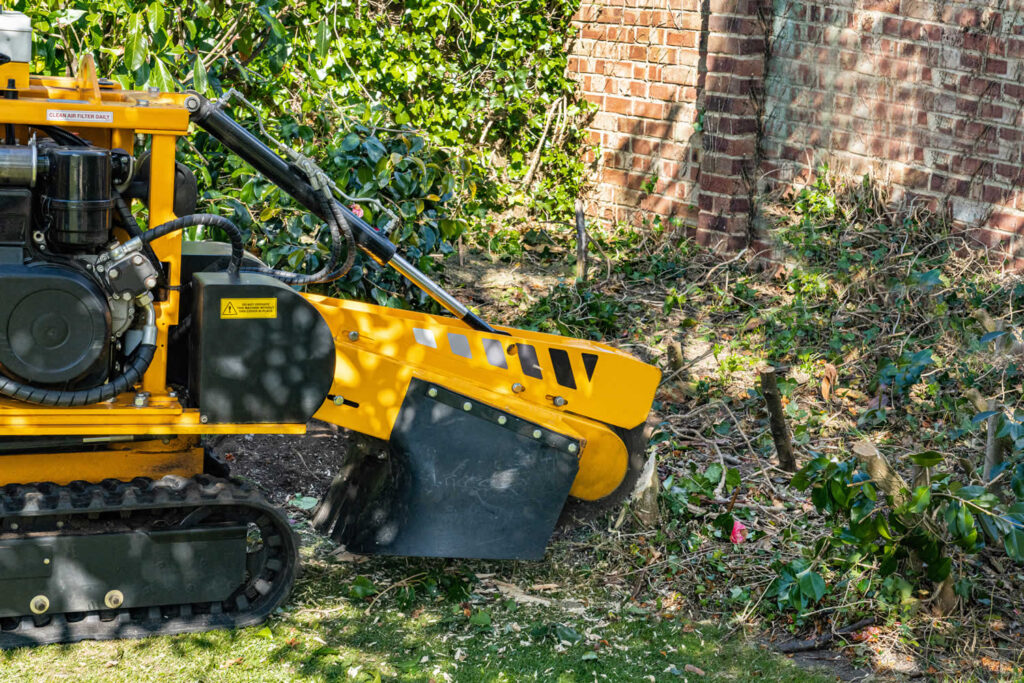 Stump Grinding-Pros-Pro Tree Trimming & Removal Team of Palm Beach Gardens