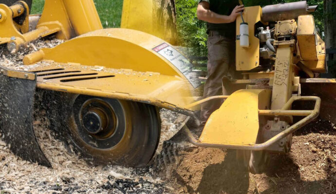 Stump Grinding & Removal Experts-Pro Tree Trimming & Removal Team of Palm Beach Gardens