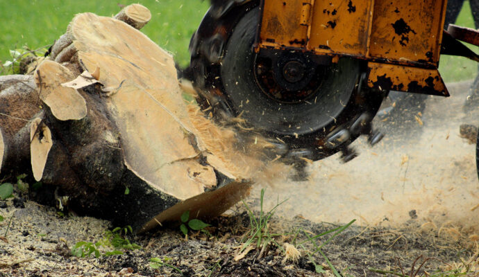 Stump-Grinding-Removal-Services Pro-Tree-Trimming-Removal-Team-of- Palm Beach Gardens