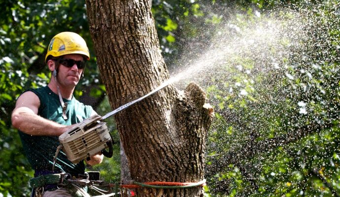 Tree Trimming-Pros-Pro Tree Trimming & Removal Team of Palm Beach Gardens